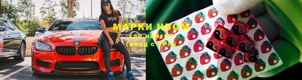 гидра Михайловка
