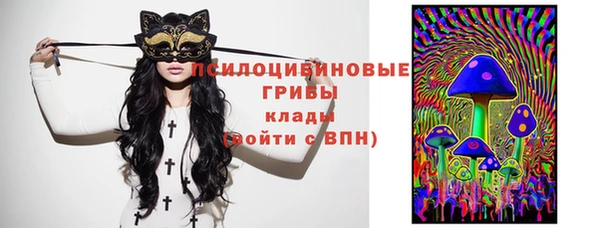 гидра Михайловка