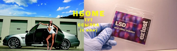 СК Абинск