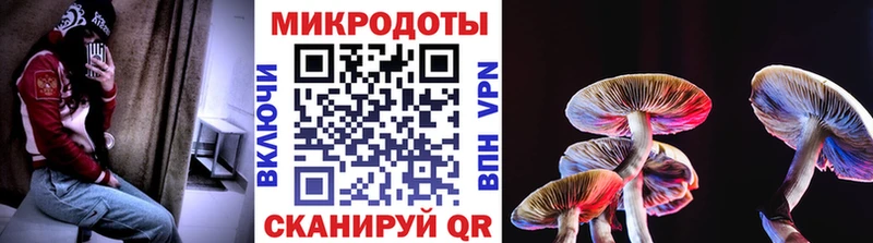 Псилоцибиновые грибы Psilocybine cubensis  где найти наркотики  darknet официальный сайт  Владимир  MEGA ССЫЛКА 